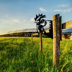 Metal rooster fence peeker garden stake silhouette outdoor yard art decoration black iron