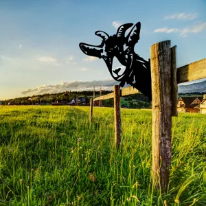 Outdoor garden metal goat silhouette fence insert for yard lawn decoration and landscape design.