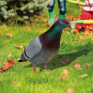 Outdoor garden pigeon bird decoration realistic animal statue for lawn yard landscape decor