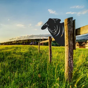 Outdoor garden metal sheep silhouette plug-in detail, perfect rustic lawn fence decoration.