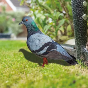 Metal pigeon garden stake decorative yard art outdoor lawn ornament for garden decoration new