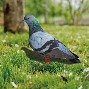 Metal pigeon garden stake detail, realistic outdoor yard art decoration for lawn and plant pots.