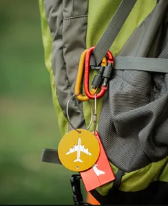 Carabiner hook set for outdoor camping, metal D-ring lock, durable gear accessory detail.