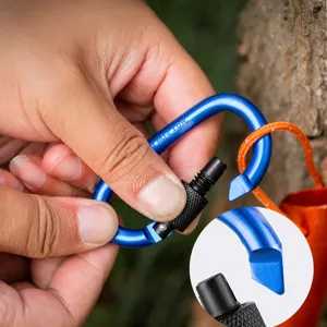 D-shaped aluminum climbing carabiner with screw lock for outdoor camping and hiking gear.