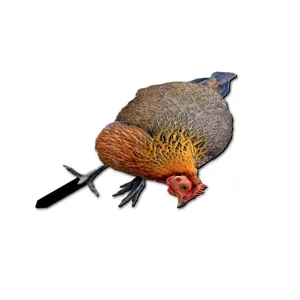 Metal chicken garden stake outdoor yard art decor for lawn patio and yard landscaping details