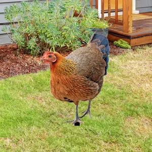 Metal chicken garden stake outdoor yard decoration showing realistic detailed animal silhouette art.