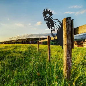 Metal rooster garden stake fence decoration outdoor backyard yard landscape silhouette art ornament