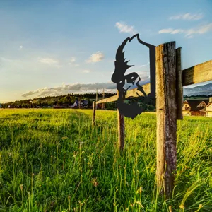 Bigfoot metal garden stake silhouette outdoor fence decoration yard art ornament decor