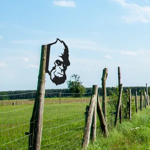 Detailed view of metal Bigfoot fence peeper, outdoor garden iron art silhouette decor.