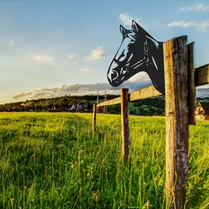 Metal horse fence decor outdoor garden stake silhouette yard art ornament landscape design.