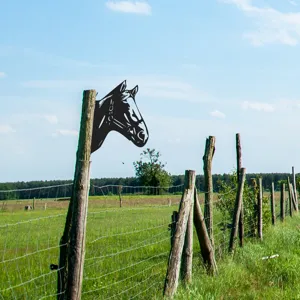 Metal horse silhouette garden stake outdoor yard art decor fence insert detail view.