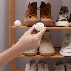 Shoe deodorant ball for daily footwear freshness, compact anti-odor ball placed in shoe rack.