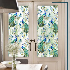 Détail de film pour vitrage paon en intérieur, design élégant et décoratif statique.