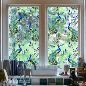 Vue détaillée du film pour fenêtre en verre teinté paon coloré au design décoratif.