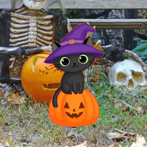 Decoración de jardín gato negro bruja de Halloween vista detallada con calabaza y accesorios