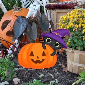 Halloween gato negro sombrero bruja calabaza estaca de jardin decoracion exterior