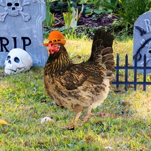 Decoración de estaca de jardín de pollo de Halloween con sombrero de bruja para césped
