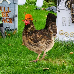 Estaca de jardín de Halloween pollo con sombrero de bruja y fondo de lápidas para exteriores.