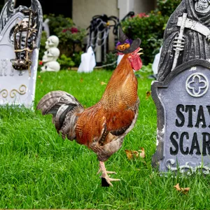 Estaca de jardín de gallo de Halloween con sombrero de bruja, decoración de césped exterior impermeable.