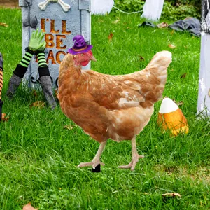 Decoración de jardín estaca césped pollo sombrero de bruja Halloween fiesta espeluznante