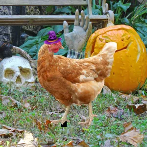 Detalle estaca de jardín Halloween, gallina decorativa sombrero bruja, decoración terror.