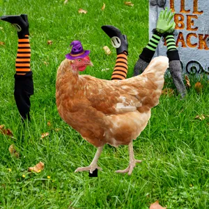 Halloween pollo sombrero de bruja estaca de jardin cesped decoracion fiesta espeluznante