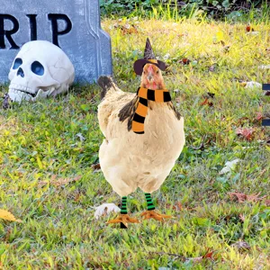 Conjunto de disfraz de pollo de Halloween con sombrero de bruja bufanda y calentadores para fiesta.