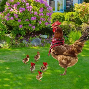 Decorazione da giardino con picchetto di gallina di Natale per festivo cortile esterno.