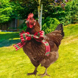 Picchetto da giardino gallina di Natale in metallo per esterni, decorazione festiva prati.