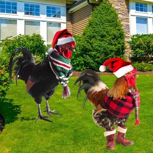 Primo piano dettagliato dei paletti da giardino in metallo con gallina di Natale e sciarpe.
