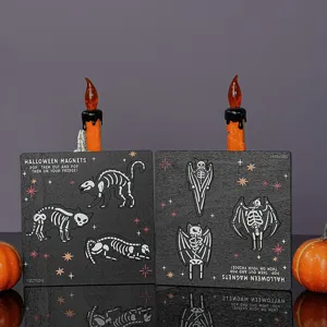 Halloween wooden skeleton fridge magnets detail shot showing cat and bat shapes clearly and nicely.