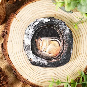 Wooden tree hollow chipmunk fridge magnet detail view, rustic home decor wood slice craft.