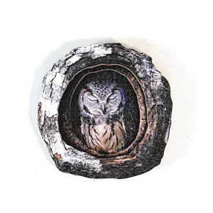 Wooden tree hollow owl sticker detail, showing wood texture and cute animal close-up design.