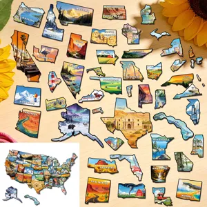 Close-up view of US state magnetic puzzle pieces featuring detailed scenic illustrations and state names.