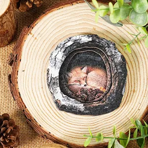 Wooden tree hollow animal magnetic sticker detail showing cute sleeping fox rustic home decor.