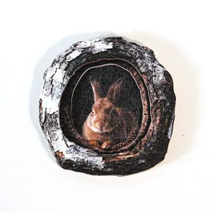 Wooden tree hole rabbit fridge magnet decorative craft, cute animal photo frame design for home.