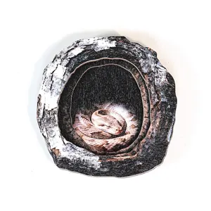 Wooden tree hollow snake decorative magnetic sticker, nature wildlife home decor detail.