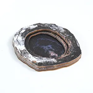 Wooden bear photo frame fridge magnet detail view, rustic tree bark texture and wildlife design.
