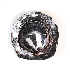 Wooden badger tree hole magnetic fridge sticker detail view, realistic animal decor craft.