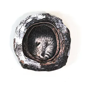 Wooden tree hole cat fridge magnet detail showing a cute sleeping kitty on rustic wood slice.