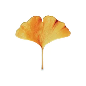 Clear acrylic ginkgo leaf bookmark closeup, delicate vein texture and vibrant yellow gradient.