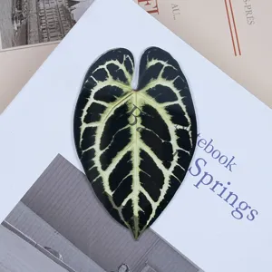 Translucent acrylic leaf bookmark with green plant pattern design for students and book lovers.