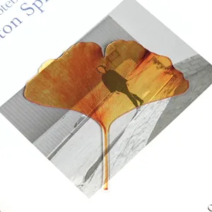 Translucent acrylic ginkgo leaf bookmark aesthetic book page marker for reading lovers.