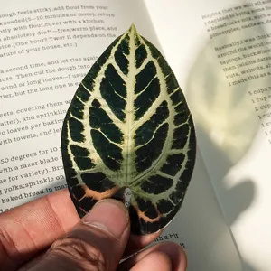 Transparent acrylic leaf bookmark with green vein design for reading books and stationery.