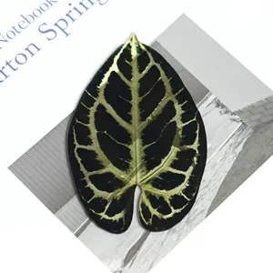 Leaf shaped acrylic bookmark transparent green plant vein book page marker reading gift