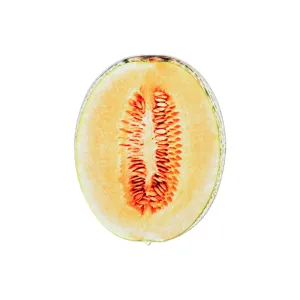 Detailed view of the transparent acrylic fruit melon bookmark, showing clear and vivid texture.