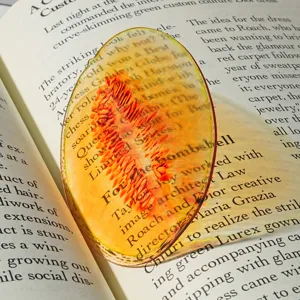 Transparent Acrylic Fruit Melon Slice Bookmark Cute Student Reading Page Marker Book Accessory