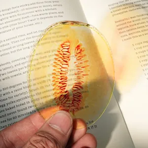 Detailed close-up view of a translucent acrylic bookmark featuring a vibrant melon fruit slice design.