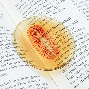 Transparent acrylic cantaloupe bookmark fruit design aesthetic book page reader gift item