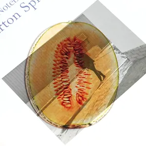 Translucent acrylic bookmark featuring a creative melon fruit slice design for reading books.